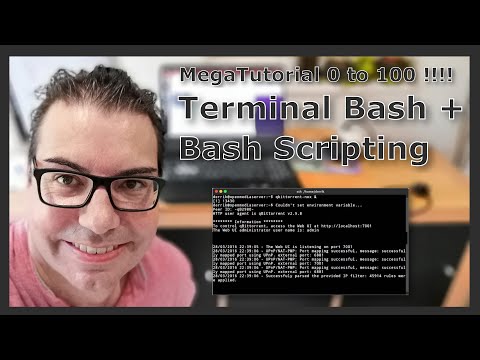 Tutorial de inmersión al Terminal Linux y Bash Scripting