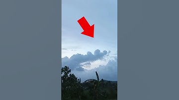 Thumbnail of A REAL DRAGON CAUGHT ON CAM. #shorts