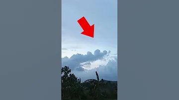 A REAL DRAGON CAUGHT ON CAM Shorts 