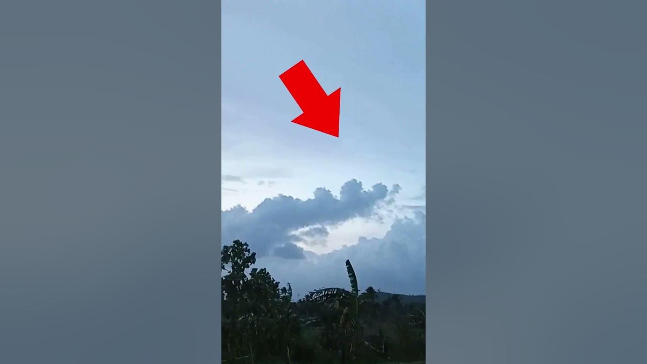 A REAL DRAGON CAUGHT ON CAM. #shorts