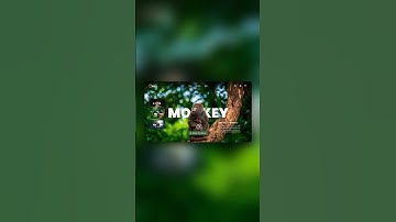 ✅ Crea esta web con Elementor y WordPress #shorts