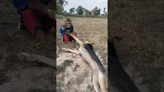 Amazing Video Best SokYaa,OG, Pao & Mom Are Famous Around The World #shorts