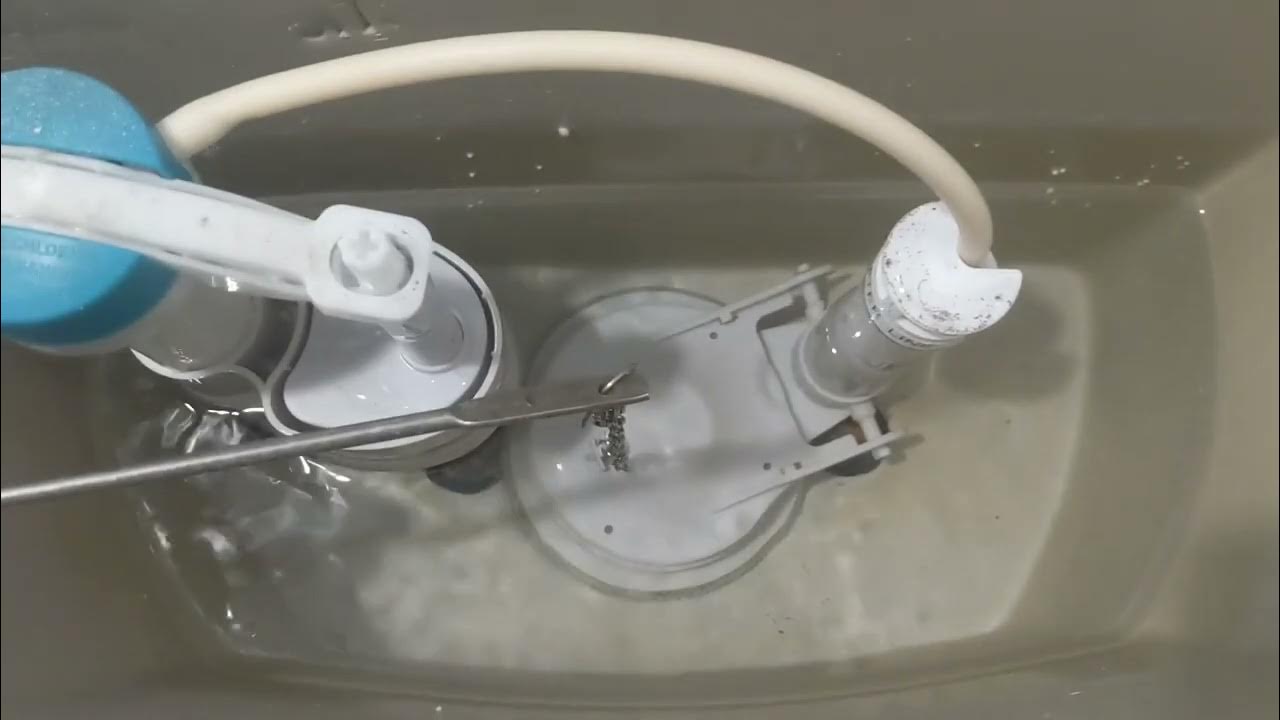 6004 2020 Jacuzzi Lyndsay Toilet Tank YouTube