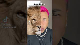 Tiktok viral filter tutorial 😂 4 #shorts