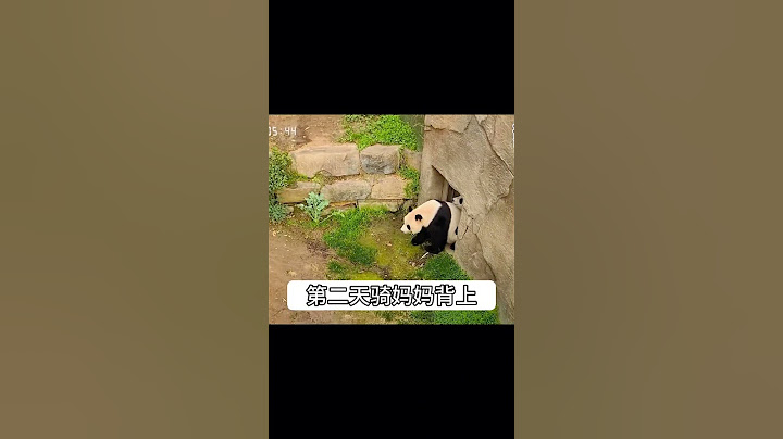 福宝的每一顿打都不是白挨的。