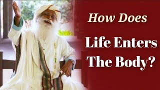 How Does Life Enter The Body? Sadhguru Answers