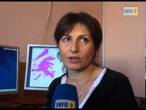 როგორი ამინდი გველის იანვარში?