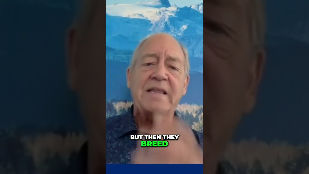 Salmon Farming: Debunking Myths and Protecting Wild Fish #shorts Salmon Farming: Debunking Myths and Protecting Wild Fish #shorts