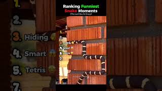 Ranking Funniest Snake Moments