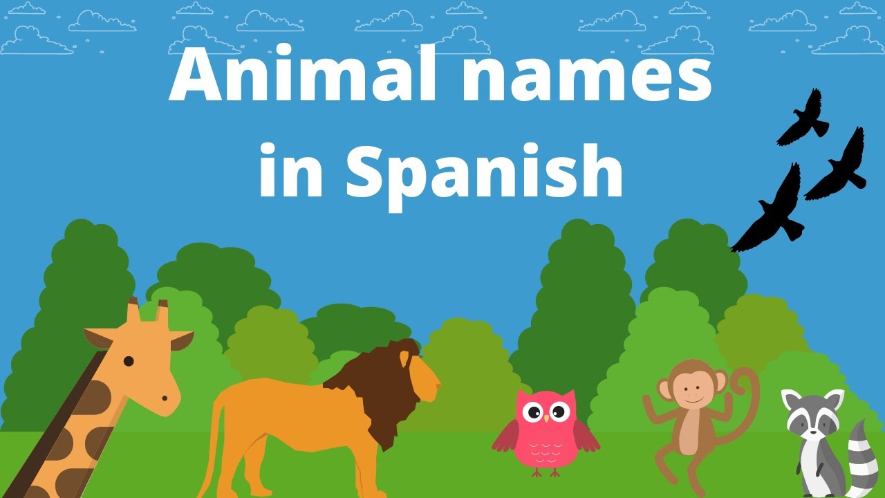 Learning Animal Names in Spanish