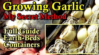 A Complete Fall & Spring Planting Guide for Soft & Hard-Neck Garlic (An Alternative Method Too) screenshot 3