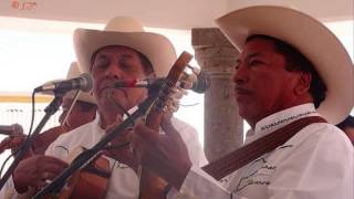 Camperos de Valles - El caporal