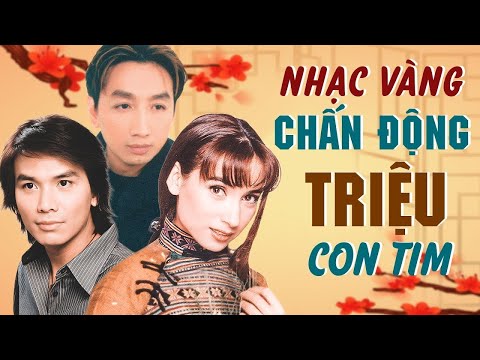 PHI NHUNG, MẠNH QUỲNH, TRƯỜNG VŨ CHỌN LỌC 2021 | Nhạc Vàng Hải Ngoại Hay Nhất KHÔNG QUẢNG CÁO