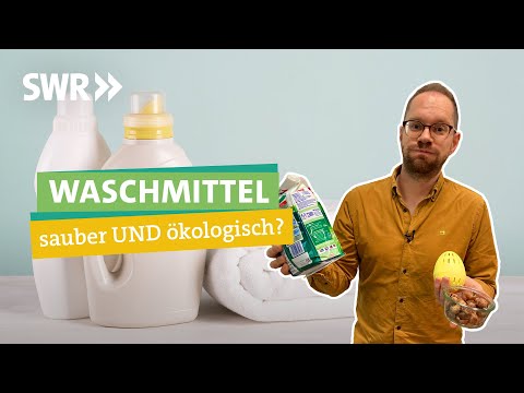 Video: Stimmt es, dass Schüler der Klasse C erfolgreicher sind als ausgezeichnete Schüler?