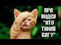 Про фильм &quot;Кто такой Бог?&quot;