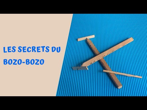 Découvrons les secrets du Bozo-Bozo