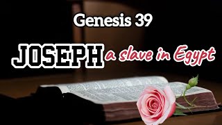 GENESIS 39 NKJV JOSEPH A SLAVE IN EGYPT Bible