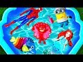 Learn Characters Colors, Super Heroes, Disney Princess, Toy Story, Pj Masks, Paw Patrol in Pool