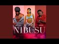 Nibusu 