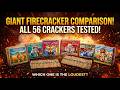 Ultimate 56 GIANT CRACKER WALA Battle! (The Complete Test) #Vishu#vishu2026#shorts#padakkam