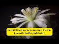 Kerro päivästäsi - Kể về 1 ngày bình thường
