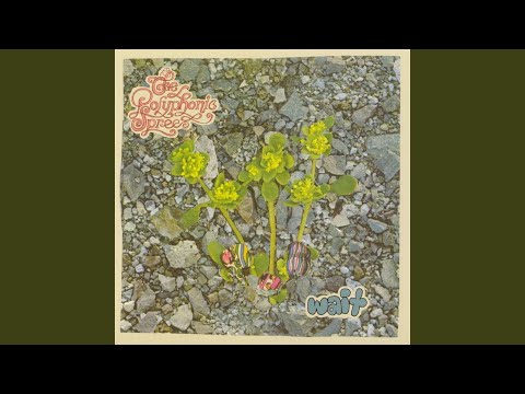 The Polyphonic Spree — Lithium