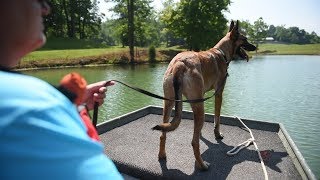 K9 Water Search and Rescue