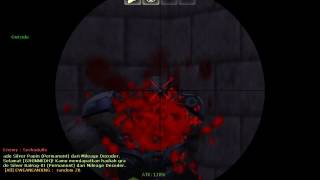 AK-47PALADIN AND SG552 LYCANTHROPE