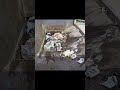 Wednesday smash #backhoe #compactor #garbage #garbageman #trashman #dumpman23 #trash #fortheboys