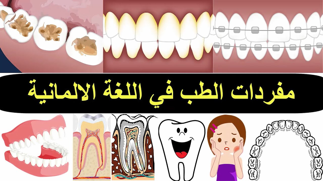 مفردات طبيب الاسنان بالألماني - كلمات الصحة الالمانية 7