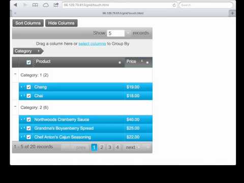 Ignite UI Grid in the Desktop Browser and iPad