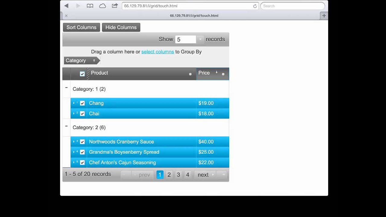 Ignite UI Grid in the Desktop Browser and iPad