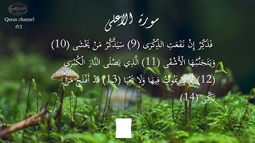 سورة الاعلى بصوت الشيخ : ياسر الدوسري وبدقة عالية 4k