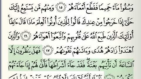 047 _ تدبر آيات سورة محمد تلاوة الشيخ صابر عبد الحكم قراءة د. عبد الله الأسمري