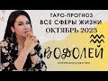 ВОДОЛЕЙ ТАРО ПРОГНОЗ ОКТЯБРЬ 2023 | ВСЕ СФЕРЫ ЖИЗНИ