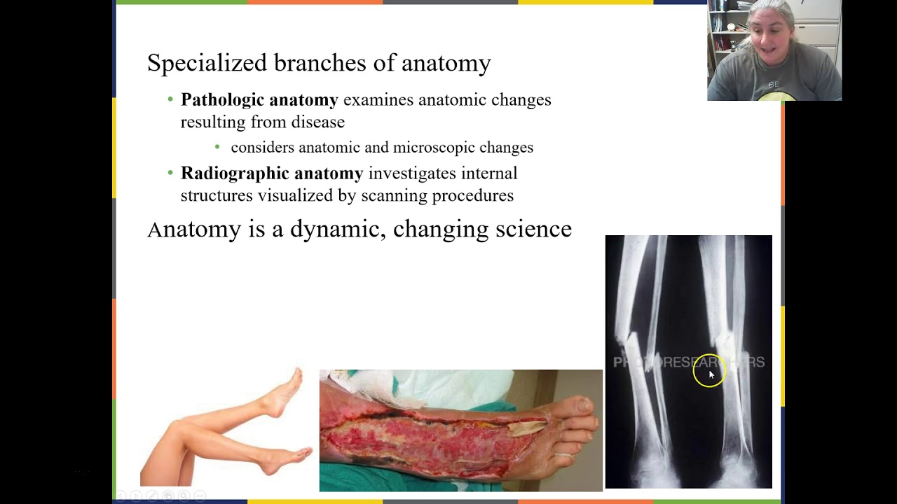 Anatomy and Physiology I_OpenStax_Chapter 1_Part 1 - YouTube