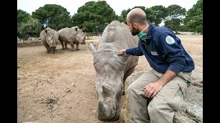 Une journée avec Lucas, soigneur animalier du secteur herbivores du zoo de la Barben