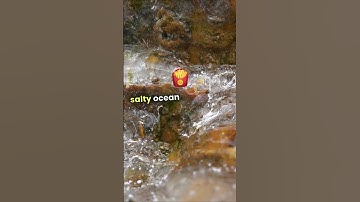 Ceres_ The Dwarf Planet of Secrets #shorts #short #youtube #youtubeshorts #viralvideo #space #facts