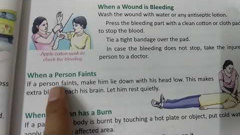 class 4 th science chapter-8 Safety first part3