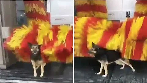 30 Minutes of Your Daily Dose of Internet #3