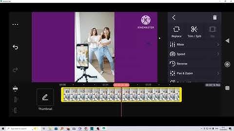 How To Adjust Brightness In KineMaster