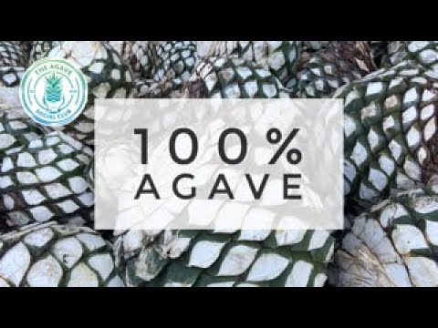 Video: Hvilke tequilaer er 100 agave?