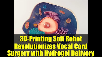3D-Printing Soft Robot Revolutionizes Vocal Cord Surgery with Hydrogel Delivery