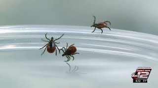 Video: CDC warns Lyme disease now fastest growing vector-borne infectious disease in US