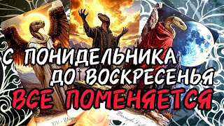 видео: ♀️НА ЭТОЙ НЕДЕЛЕ ТЕБЕ НАДО УСПЕТЬ🔥Все Будет Зависеть От Тебя🔮Таро #таро #tarot #таролог #гадание  картинка: ♀️НА ЭТОЙ НЕДЕЛЕ ТЕБЕ НАДО УСПЕТЬ🔥Все Будет Зависеть От Тебя🔮Таро #таро #tarot #таролог #гадание