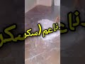 راني هبيلة صافية نية اكسبلور 