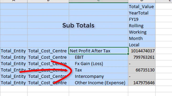 SmartView Member Options Tutorial