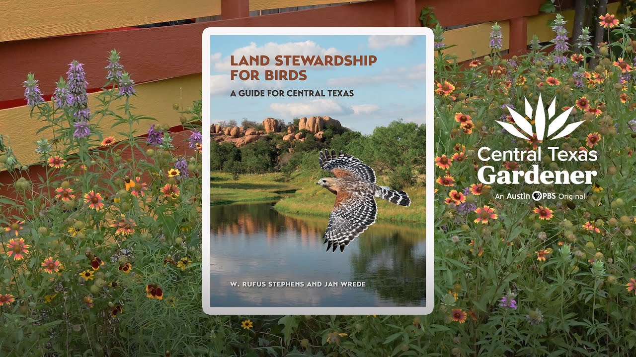 How Garden for Birds and PollinatorsTo | Central Texas Gardener