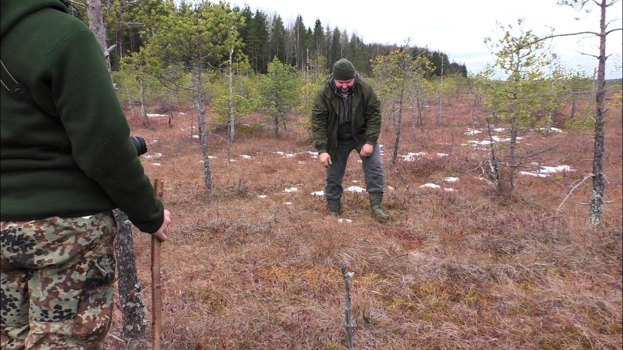 Святое болото. Николо остров на святом болоте. Святое болото и Николо-остров.