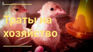 Деревенская реальность. Кормушка на самоизоляции.   Переделываем огород // Юлия Артуровна влог